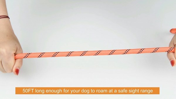 Watch Dog Runner Cable 50ft on Amazon Live