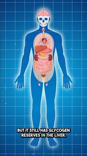 Why Those Extra Hours of Fasting Matter (12h vs 18h) #fasting #autophagy