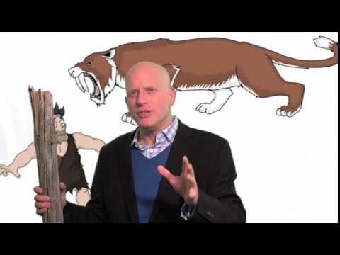Caveman Craziness - The Fight, Flight & Freeze Responses