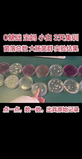 #今天我们持证上岗啦 #菌落总数实操 #培训0基础 宝妈 小白 3天集训菌落总数，大肠菌群，实验结果#大肠菌群实操 #平板计数
