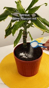 Omas Pflanzen-Hack: Kaffee mit Salz als Dünger ☕🧂 | Schlaue Tricks