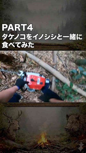 PART4 自分の竹林のタケノコをイノシシと一緒に食べてみた!