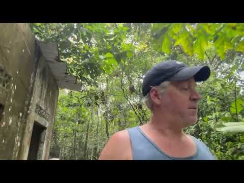 The power of one thing part 2