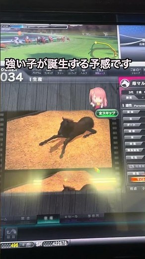 銅の宝珠をさした3代目の配合です！ #スターホース4 #スタホ