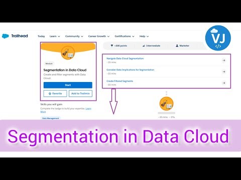 Master Segmentation in Salesforce Data Cloud | Create & Filter Segments Easily