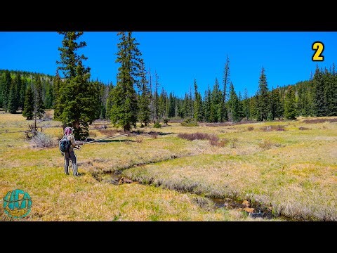 Fly Fishing Tiny Creeks for Apache Trout! (Arizona's Apache Trout Pt 1)