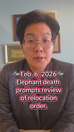 Elephant Death Sparks Review of Relocation Policies