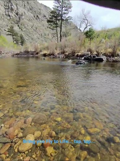 Bring your Fly to Life on a Tenkara Rod