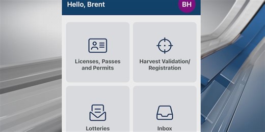 Minnesota DNR set to launch new electronic licensing app this spring