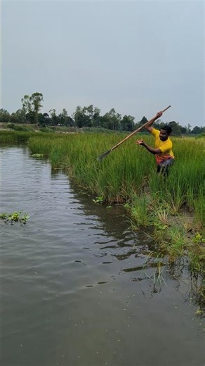 Amazing Net Fishing Compilation #fishing