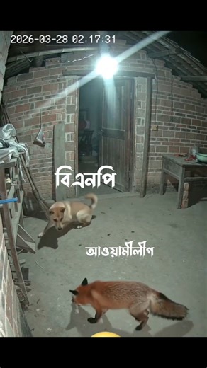 এটাই সত্য #tarekarrahman #funny #hadi #food #aakhirkyutootichhorebarghatiteam