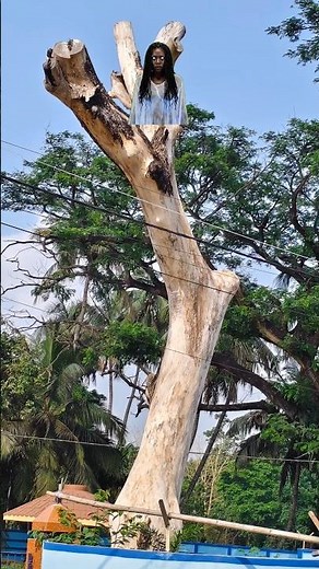 The Haunted Tree! #horror #scary #shortvideo