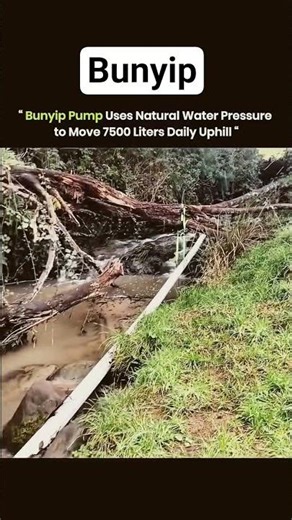 Bunyip Pump uses Natural water pressure to move 7500lts daily uphill #viralshort #water #trending