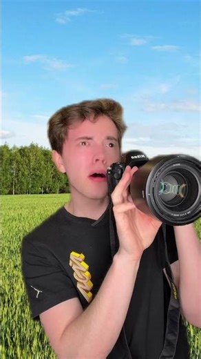 What is that tree?