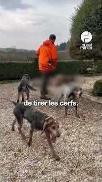 Des chasseurs ont pénétré illégalement sur le domaine du réalisateur Luc Besson