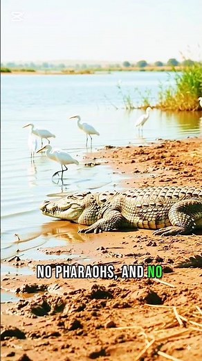 The Nile River Changed Civilization Forever 🌍