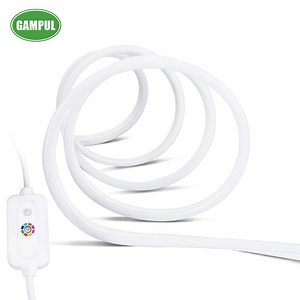 [Hot Item] High Quality 6m RGB Color Chasing Light LED Flex Neon Light