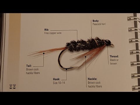 Hoot's Live Tie Busting Out Fly Tying Bible's Diawl Bach "Little Devil "