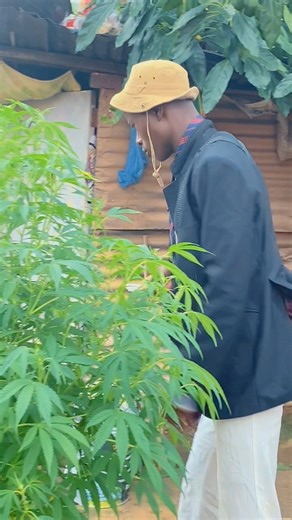 #reelschallenge #funny #viralreelsシ #reelsvideo | Starborn comedy