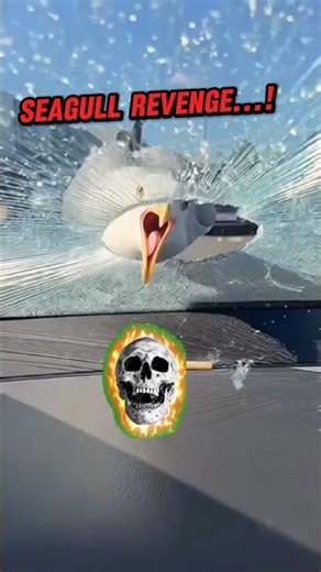 Bro get its revenge...? #trollface #edit #shorts #troll #trending