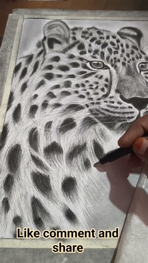 Wild beauty, untamed spirit