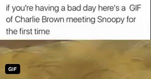 Have a good weekend - GIF