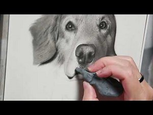 How to draw a hyper-reslistic dog portrait in charcoal. 30 min real-time video in 4K.