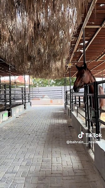 مزرعة و مطعم في مكان واحد 😍❤️ 📍Tasneem Farm - Shakhura 🇧🇭 @Tasneem Farm #البحرين🇧🇭 #البحرين_المنامة_الرفاع #حركة_إكسبلور #bahrain🇧🇭tiktok #السعودية