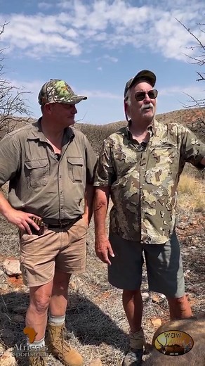 2K views · 215 reactions | Buffalo Hunting in the Kalahari. Paul tracked this buffalo for 3 hours on foot, starting at 06h10 till 09h15 before being presented the first shot. Izak Kirsten from @wowafricasafaris knows how to take you through the brush, over the sand dunes and again through thick brush to get within shooting distance | Wild & Jag / Game & Hunt | Facebook