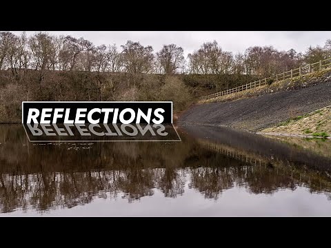 Top Tips for Photographing Reflections