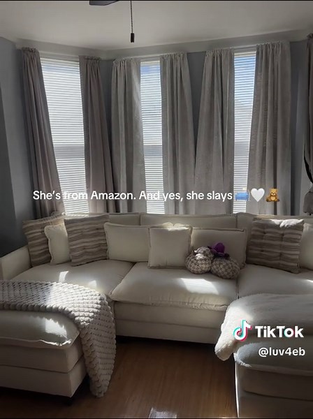 Amazon Couch: My Two-Month Journey to Purchase