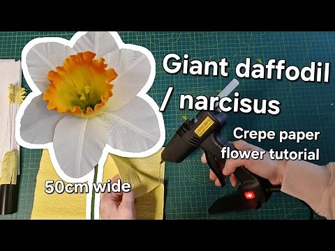 Giant daffodil / narcisus of crepe paper tutorial | DIY How to make giant flower decorations