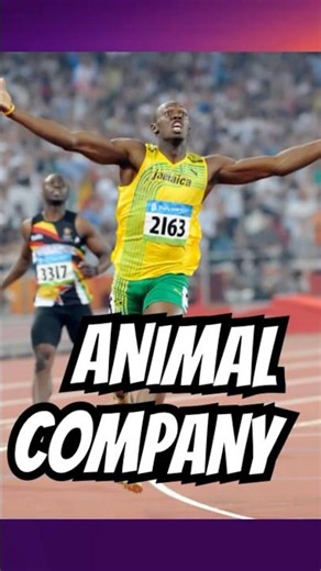 How FAST Is A Player In ANIMAL COMPANY REALLY
