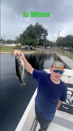 Largemouth bass. Bass being released.#bass #bassfishing