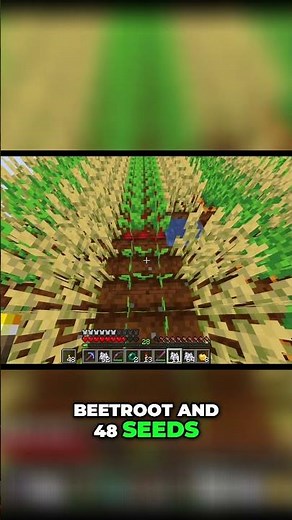 Minecraft Farm: Growing Beetroot & Cocoa Beans! #shorts