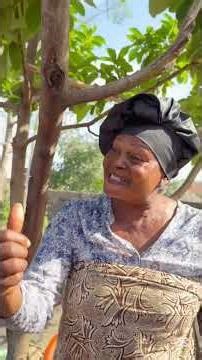 Evil mother-in-law served him a drink with a lizard inside pt2 full video is linked below