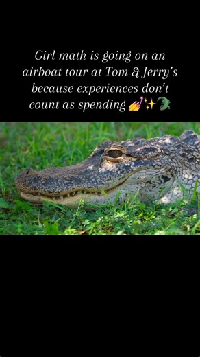 Girl math: Gator sightings cancel out the cost. That’s just science. 🐊📉 #tomandjerrysairboatrides #girlmath #airboatadventure #visitflorida #lakepanasoffkee #familyfun | Tom & Jerry's Airboat Rides