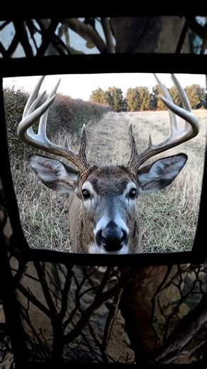 Mad at Myself: What Happens When You Fall Asleep While Hunting