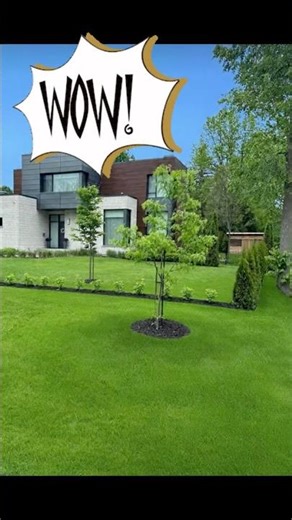 🌱 Avant / Après INCROYABLE ! 🌱