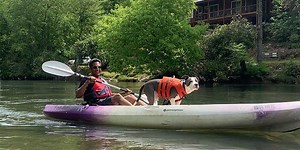 Dog Friendly Spots in Atlanta - LifeLine Animal Project