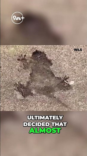 Chicago's rat hole mystery is solved