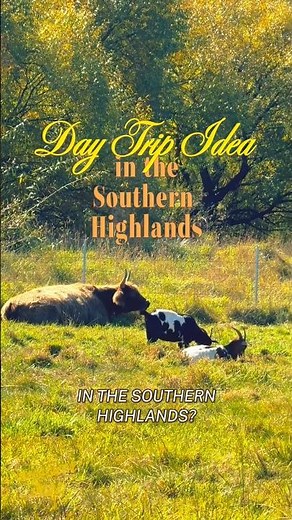 Day trip from Sydney idea in Southern Highlands for family #sydneytravelguide #nswaustralia #foodie