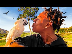 iShowSpeed Goes To The World’s CRAZIEST ZOO.. 🤣