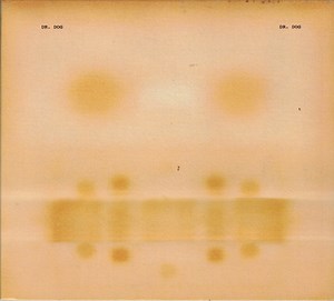 Dr. Dog - Dr. Dog