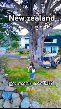 New Zealand Travel Vlog | സ്വർഗം പോലൊരു സ്ഥലം 🇳🇿#shorts #viral #trending #explore #love