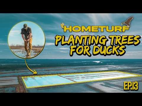 We Turned 30 Acres Into a Timber Forest for Ducks | #HOMETURF EP13