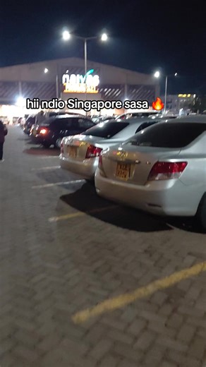 Explore the Vibrant Culture of Singapore Now