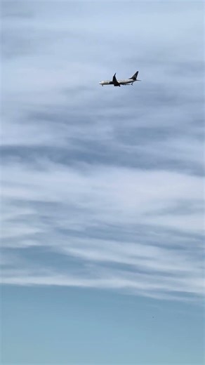 Plane landing at SFO