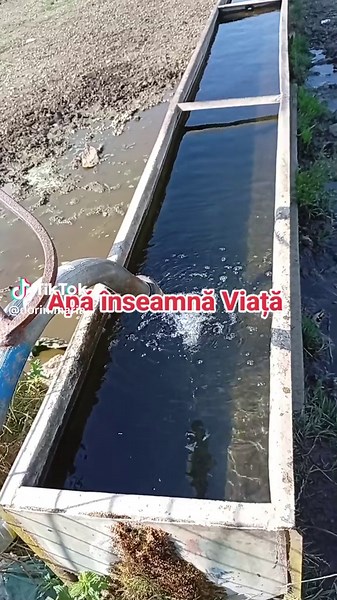 @calin.georgescu.real 🇷🇴 TikTok