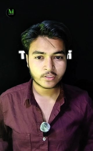 turtle 🐢 hidden secret